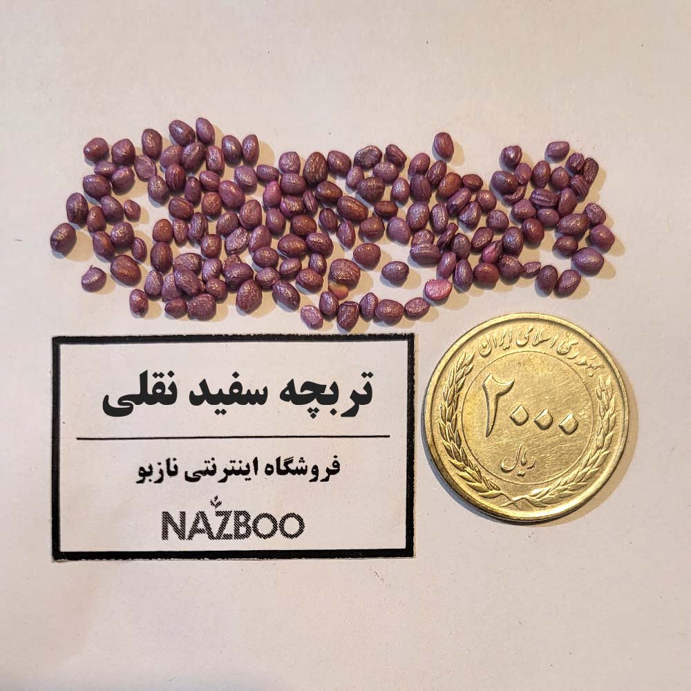 عکس تربچه سفید نقلی