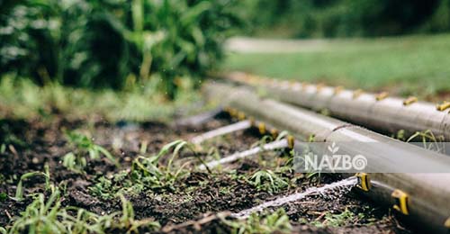 آبیاری سطحی