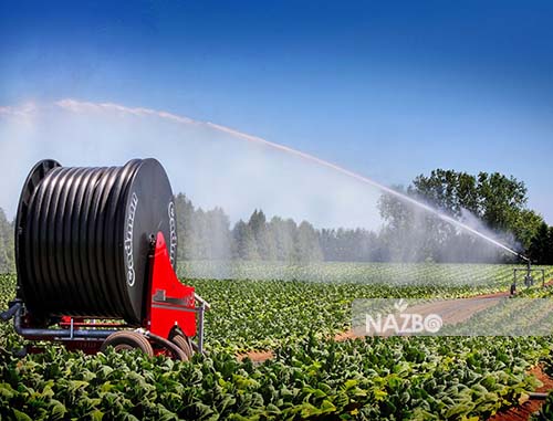 آبیاری بارانی