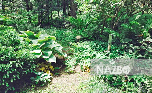مسیر باغی