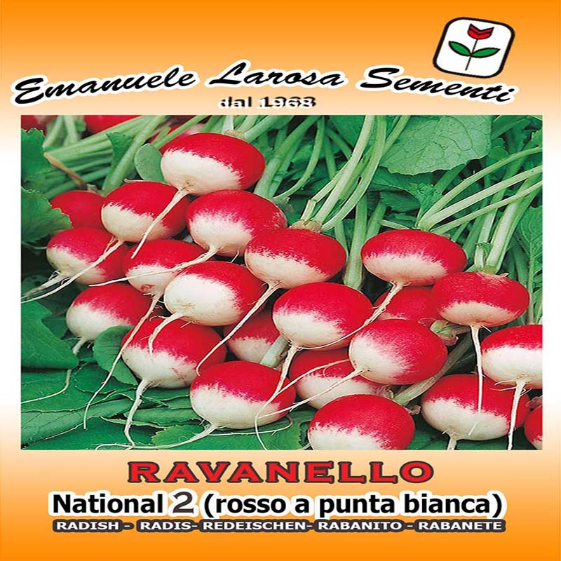 پاکت اورجینال بذر تربچه دو رنگ ایتالیایی