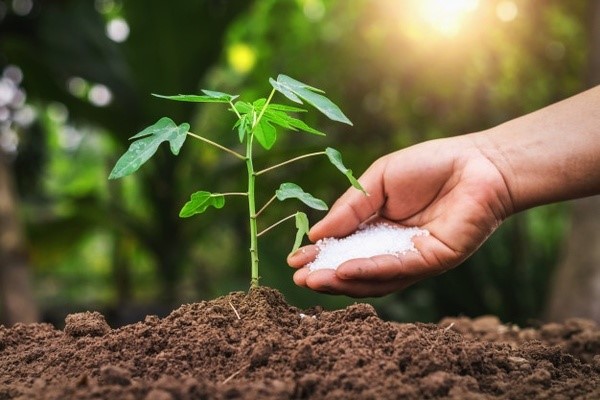 کود مخصوص گیاهان آپارتمانی